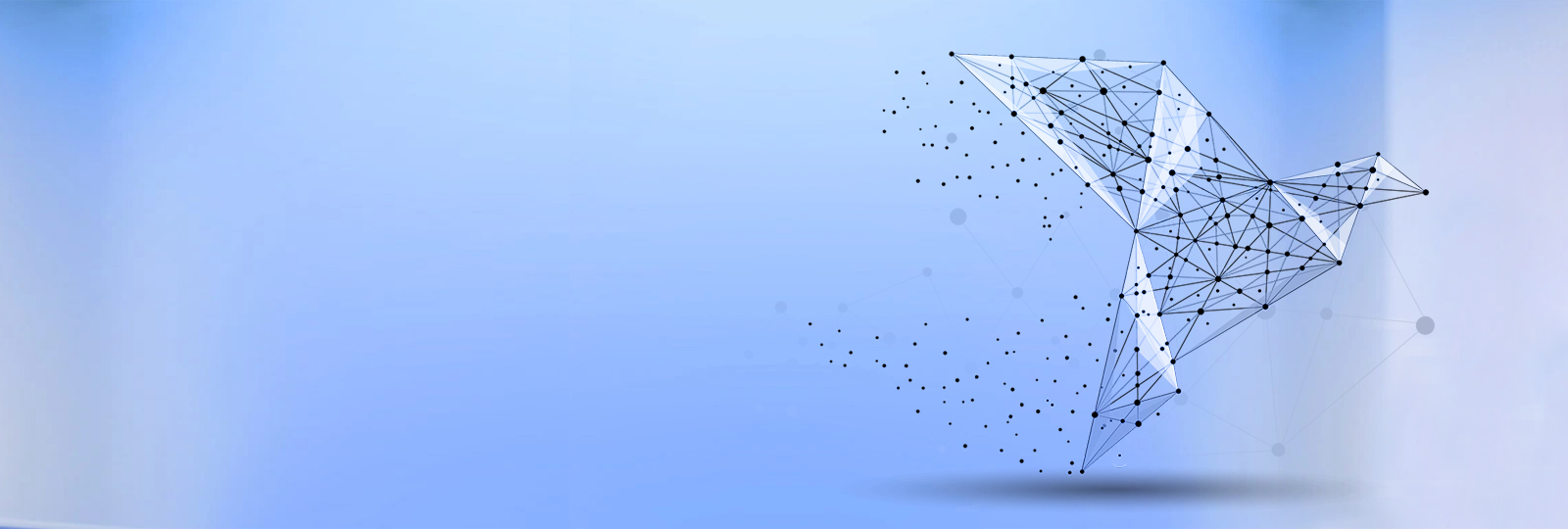 banner1s